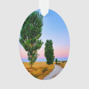 Path of the French Way Ornament