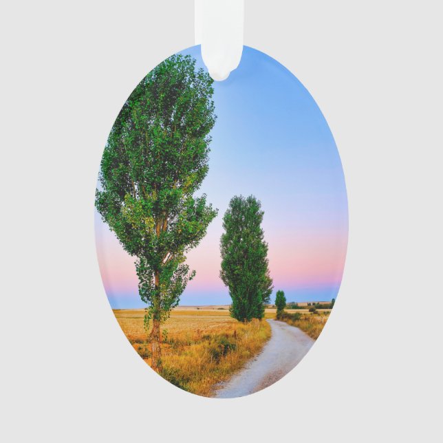 Path of the French Way  Ornament (Front)