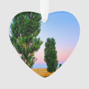 Path of the French Way Ornament