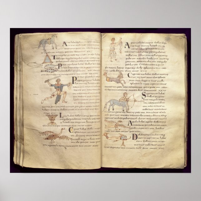 Path of the moon across the constellations poster (Front)