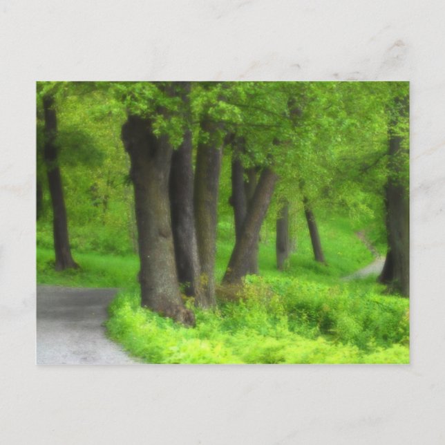 Path Postcard (Front)