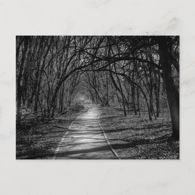 Path Postcard (Front)