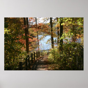 path poster