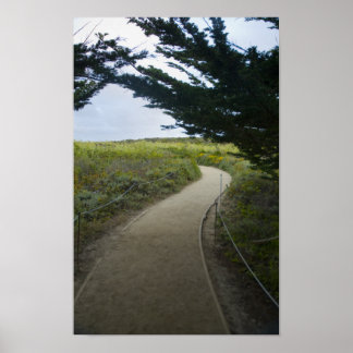 Path Poster