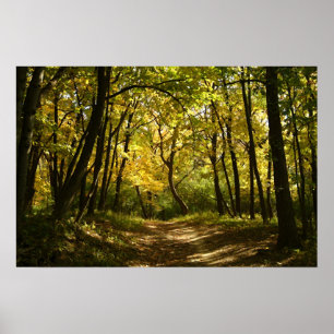 Path Poster