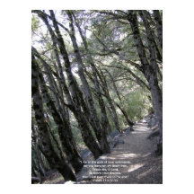 Path Poster with Psalm 119:32