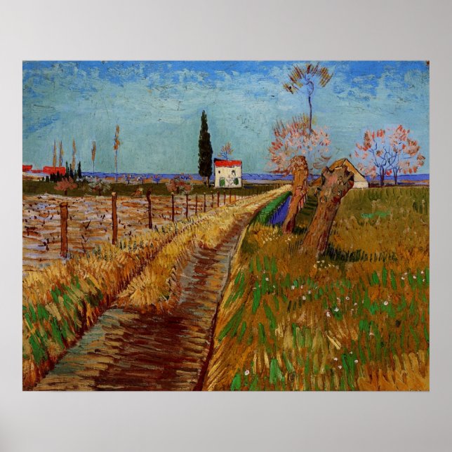 Path Through a Field, Willows by Vincent van Gogh Poster (Front)