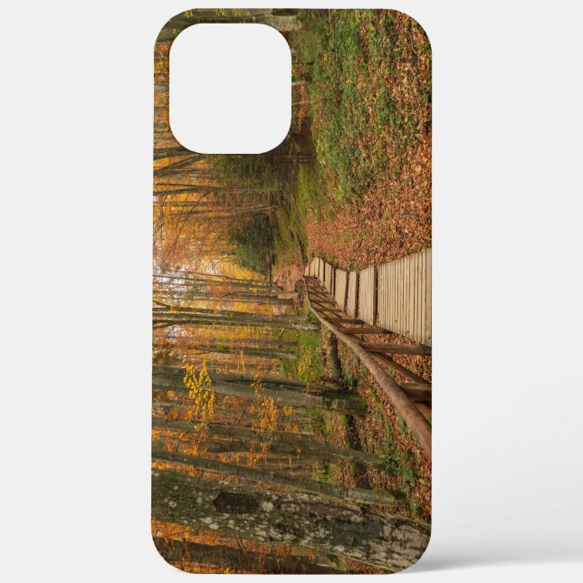 Path through the autumn forest. Case-Mate iPhone case (Back)