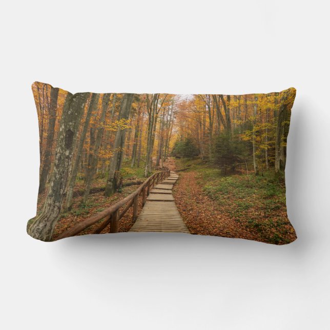 Path through the autumn forest. lumbar cushion (Front)