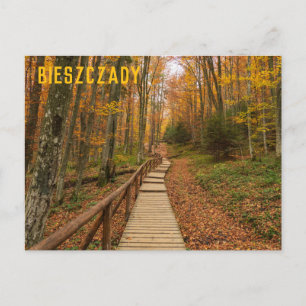 Path through the autumn forest. postcard