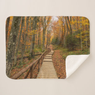 Path through the autumn forest. sherpa blanket
