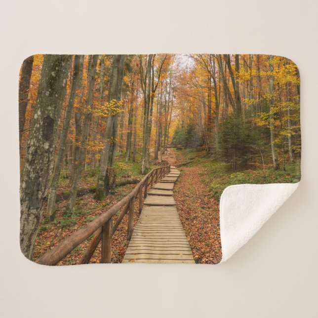Path through the autumn forest. sherpa blanket (Front (Horizontal))