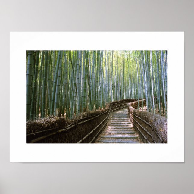  Path through the Bamboo: Kyoto, Japan Poster (Front)