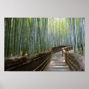  Path through the Bamboo: Kyoto, Japan Poster