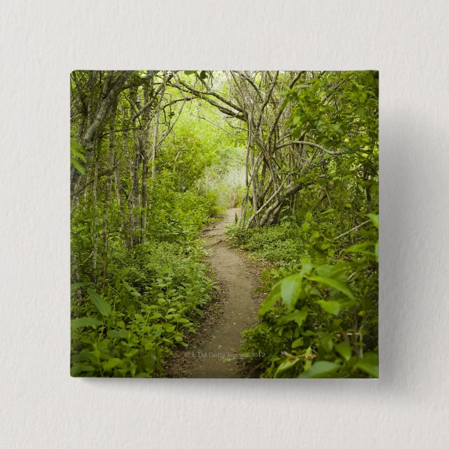 Path through the forest 15 cm square badge (Front)