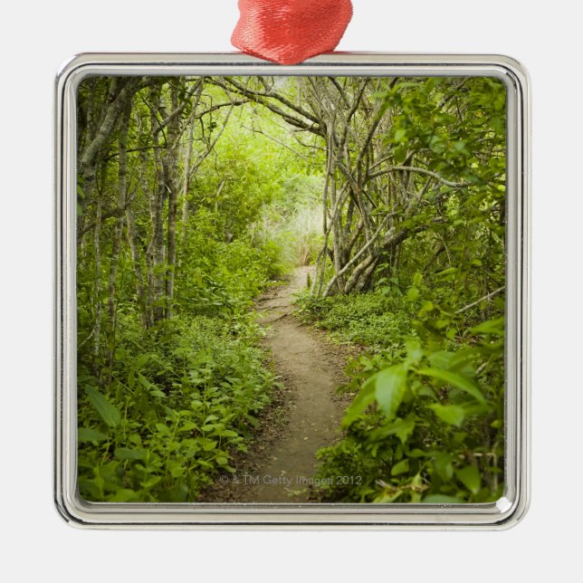Path through the forest metal tree decoration (Front)