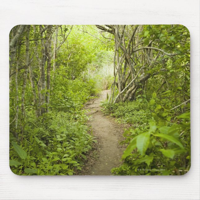 Path through the forest mouse pad (Front)