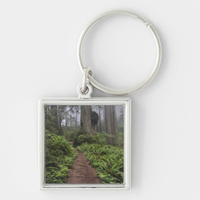 Path through the giant redwood trees shrouded 2 key ring (Front)