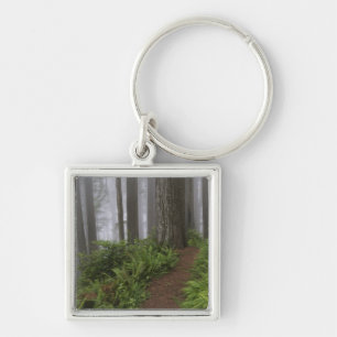 Path through the giant redwood trees shrouded key ring