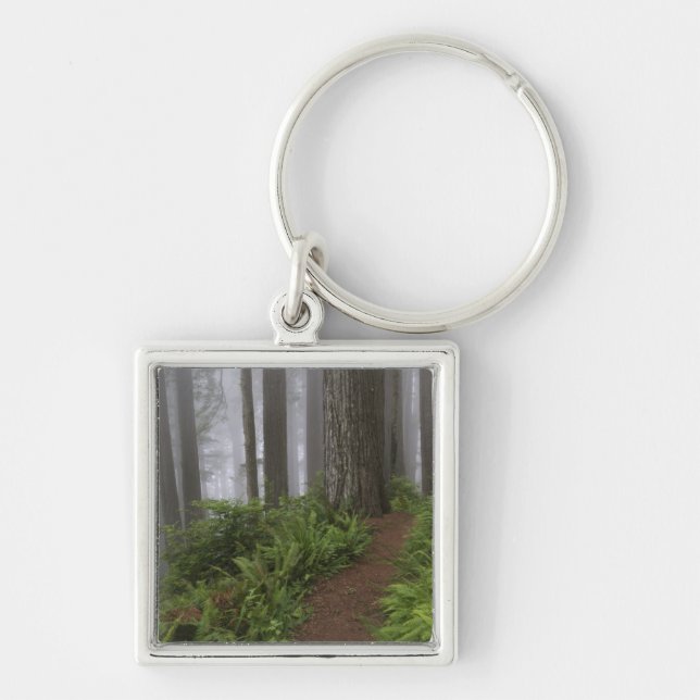 Path through the giant redwood trees shrouded key ring (Front)