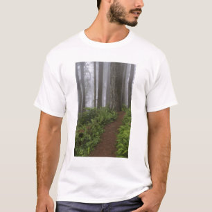 Path through the giant redwood trees shrouded T-Shirt