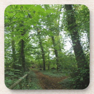 Path through the Green Forest Cork Coaster