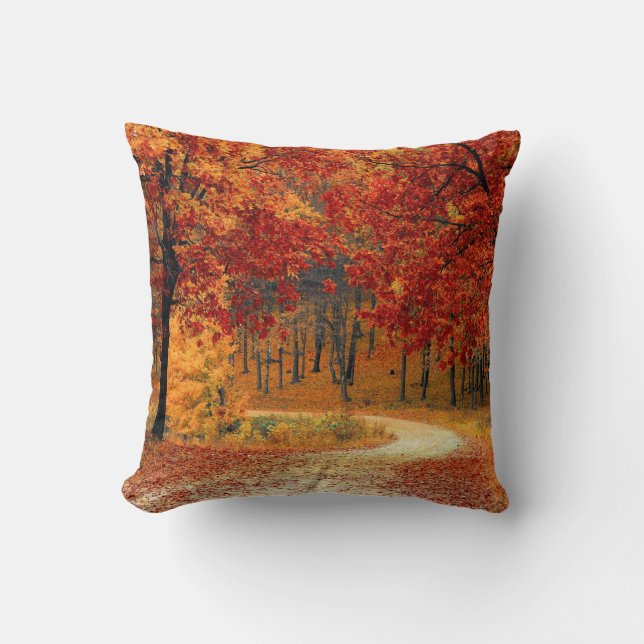 Path Through the Trees in Autumn Cushion (Front)