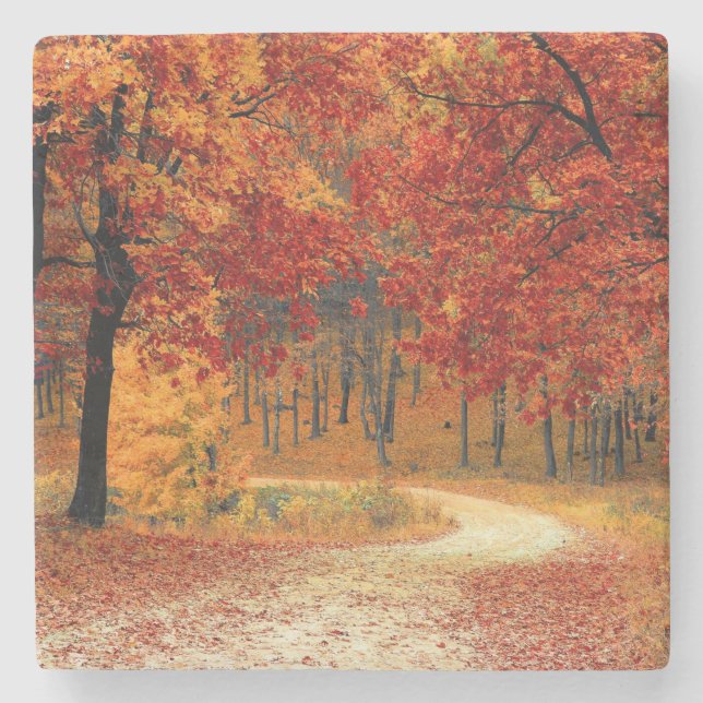 Path Through the Trees in Autumn Stone Coaster (Front)