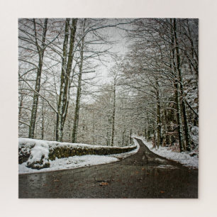 Path to Dreamland - German Forest -20x20-676 pcs Jigsaw Puzzle