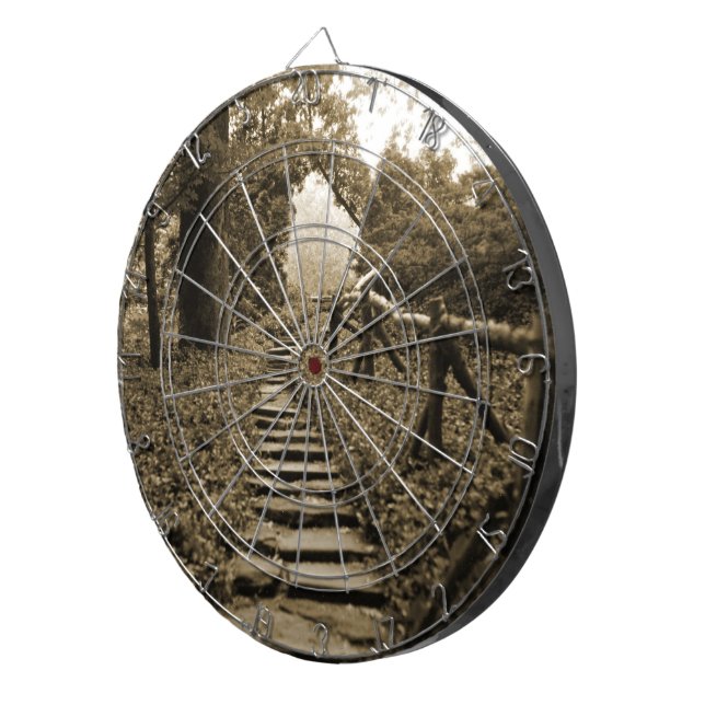 Path To Light Dartboard (Front Right)