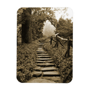 Path To Light Magnet