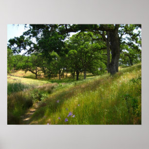 "Path to Quiet" Poster