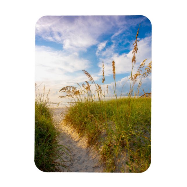 Path to the Beach Magnet (Vertical)