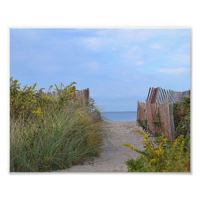 Path To The Beach Photo Print (Front)