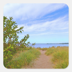 Path To The Beach Sticker