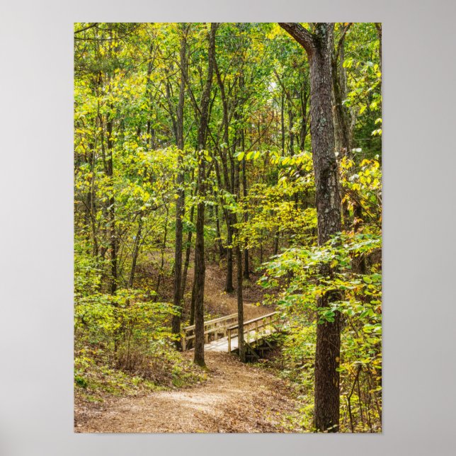 Path To The Bridge Poster (Front)
