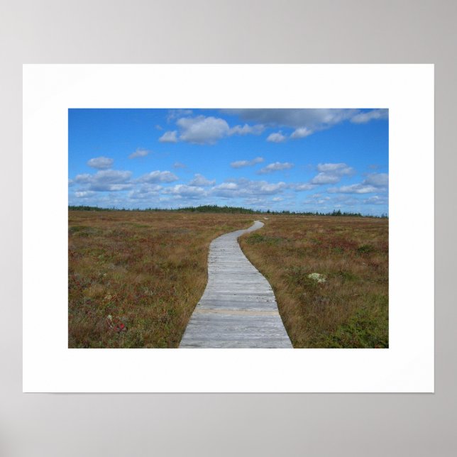 Path to the Sky Poster (Front)