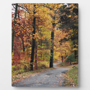 Paths Plaque