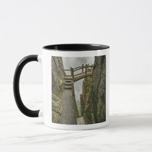 Pathway and small bridge, Yellow Mountain, Mug