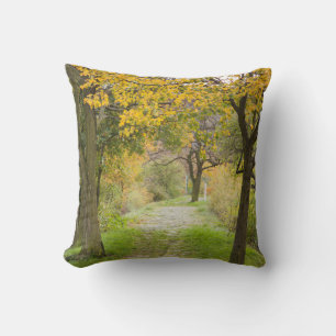 Pathway in Autumn Cushion