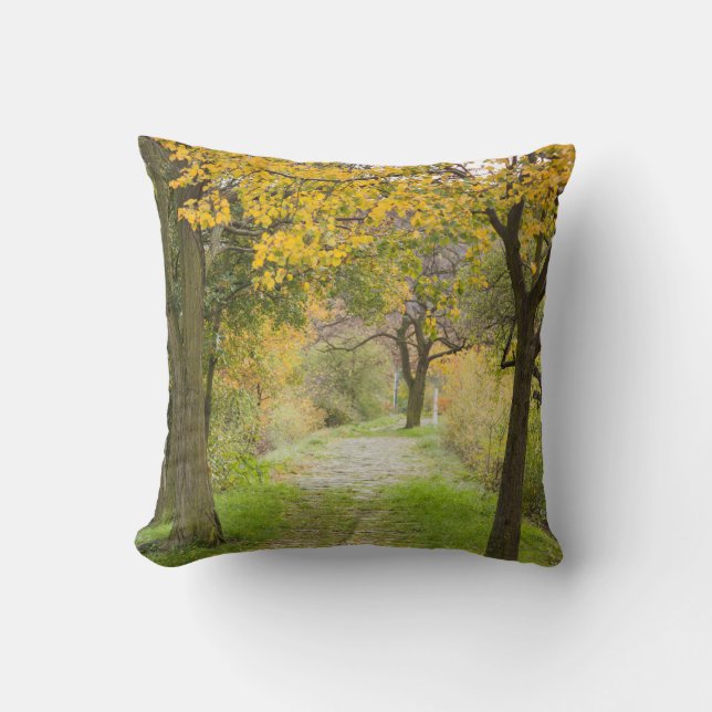 Pathway in Autumn Cushion (Front)