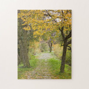 Pathway in Autumn Jigsaw Puzzle