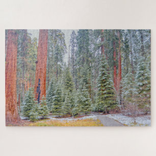 Pathway in Snowy Giant Sequoia Forest Jigsaw Puzzle