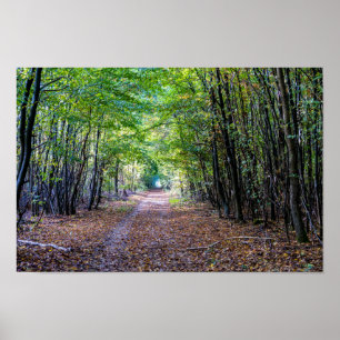Pathway in the autumn forest, Saint Germain Forest Poster