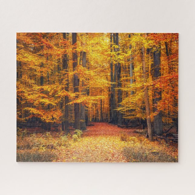 Pathway In The Autumn Park Jigsaw Puzzle (Horizontal)