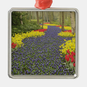 Pathway of Grape Hyacinth, daffodils, and Metal Ornament