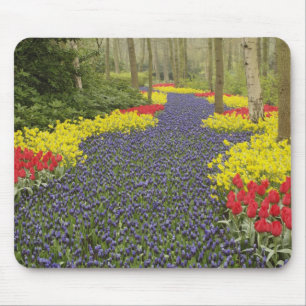 Pathway of Grape Hyacinth, daffodils, and Mouse Pad