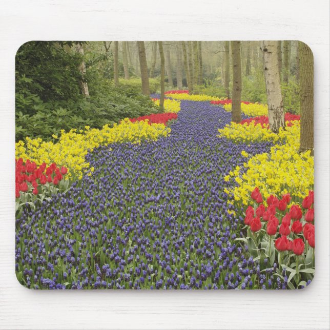 Pathway of Grape Hyacinth, daffodils, and Mouse Pad (Front)