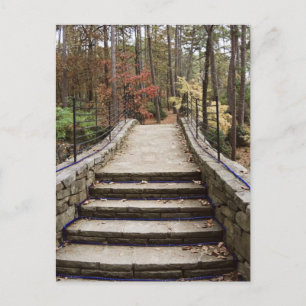 Pathway Postcard