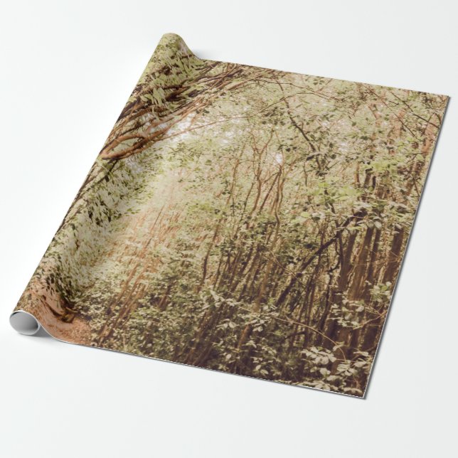 PATHWAY SURROUNDED WITH TALL AND GREEN TREES WRAPPING PAPER (Unrolled)